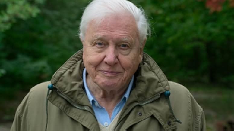 David Attenborough: A Life on Our Planet 2020