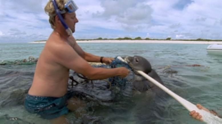 A Plastic Ocean 2016