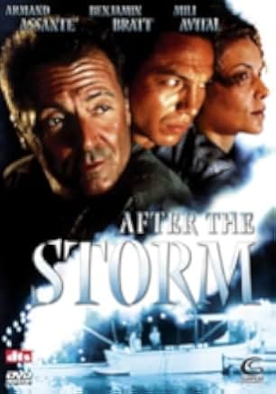 After the Storm 2003