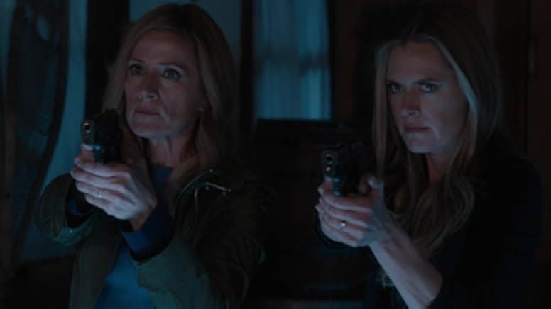 Psych 2: Lassie Come Home 2020