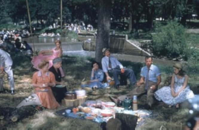 Picnic 1955