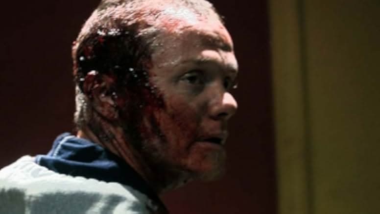 The Signal 2007