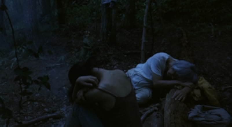 The Mourning Forest 2007