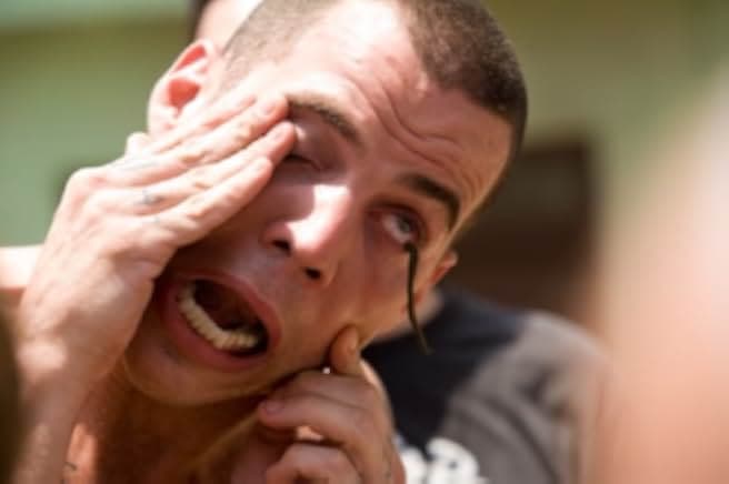 Jackass Number Two 2006