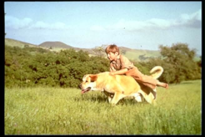 Old Yeller 1957