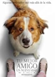 A Dog's Journey 2019