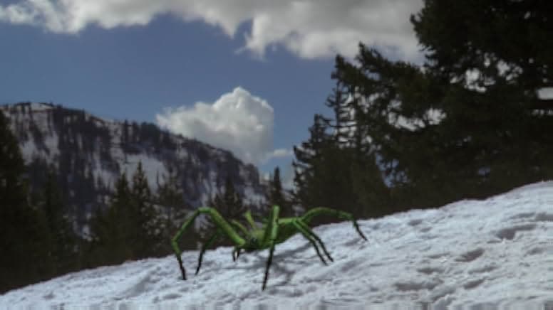 Ice Spiders 2007
