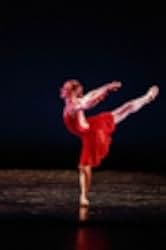 The Company 2003