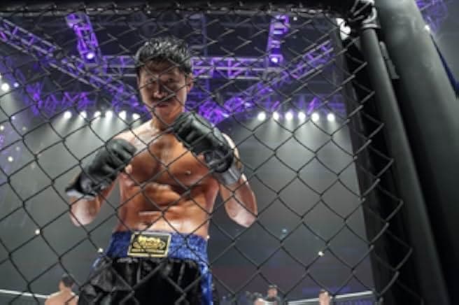 Fists of Legend 2013