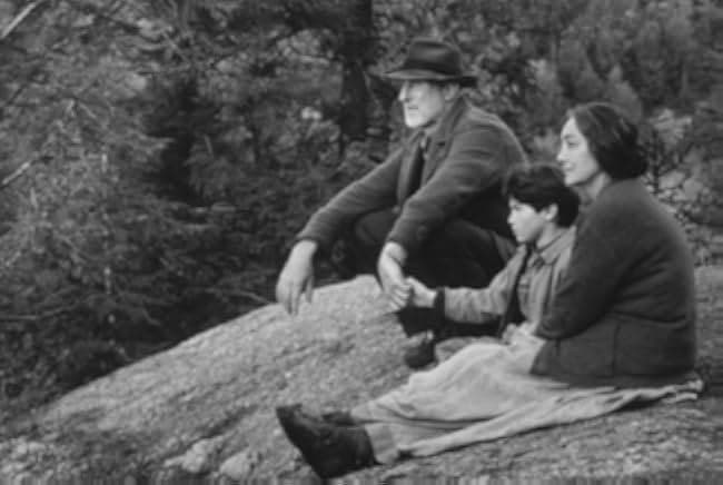 The Education of Little Tree 1997