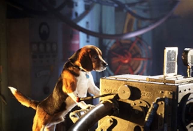 Cats & Dogs 2001