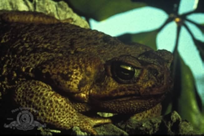 Frogs 1972