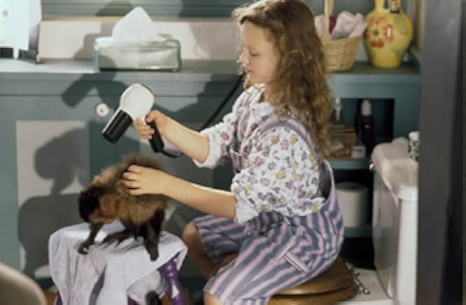 Monkey Trouble 1994