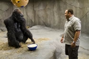 Zookeeper 2011