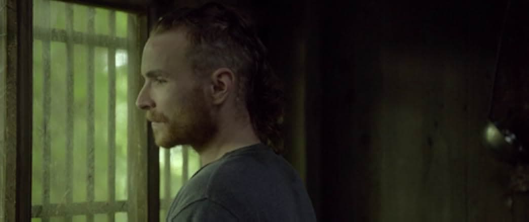 The Survivalist 2015