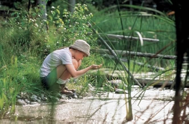 Fly Away Home 1996