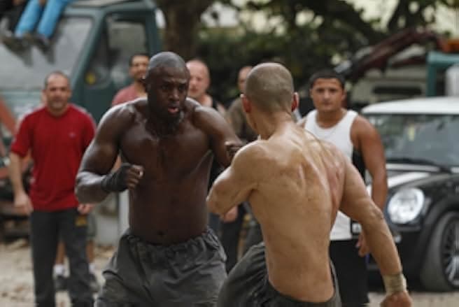 Rust and Bone 2012