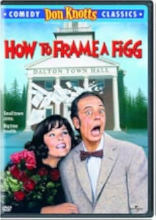 How to Frame a Figg 1971