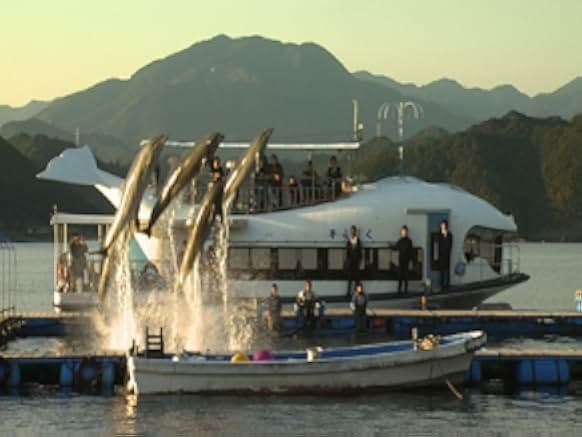 The Cove 2009