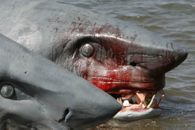 2-Headed Shark Attack 2012