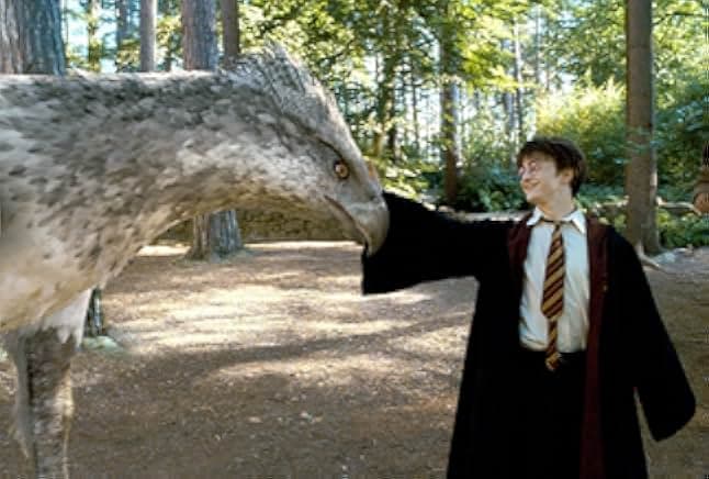 Harry Potter and the Prisoner of Azkaban 2004