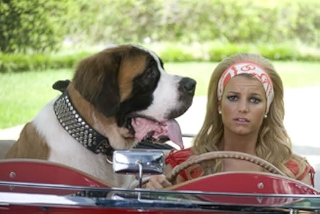 Private Valentine: Blonde & Dangerous 2008