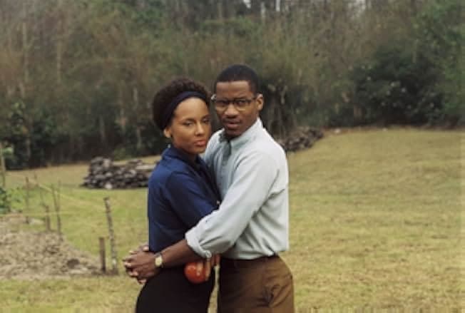 The Secret Life of Bees 2008
