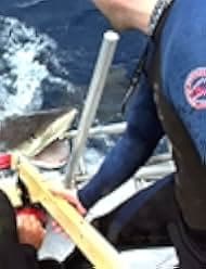 Open Water 2003
