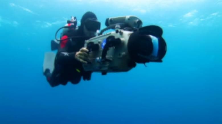 Sharkwater 2006