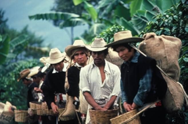 El Norte 1984