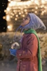 November Christmas 2010