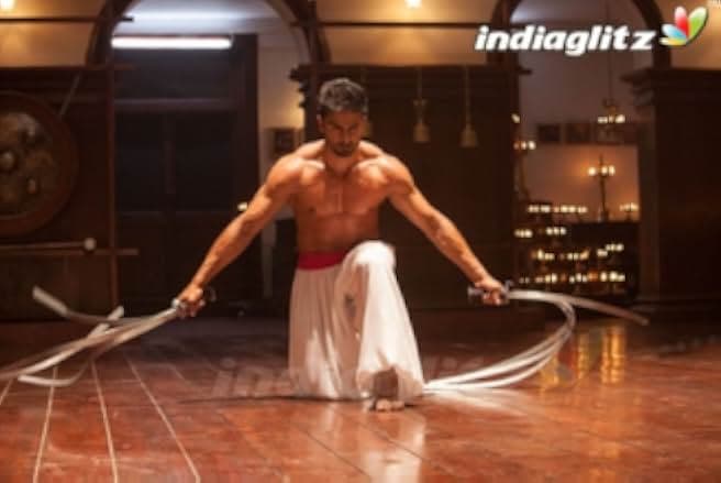 Baaghi 2016
