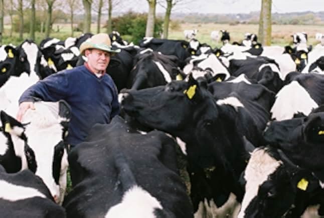 The Moo Man 2013
