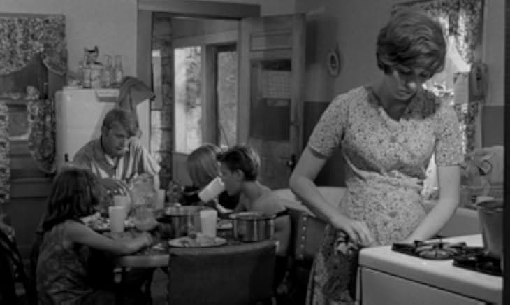 Spring Night Summer Night 1967