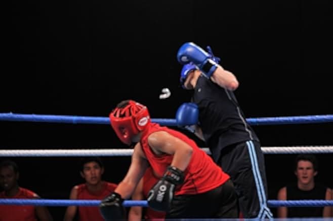Born to Fight 2011