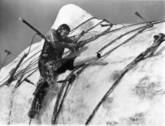 Moby Dick 1956