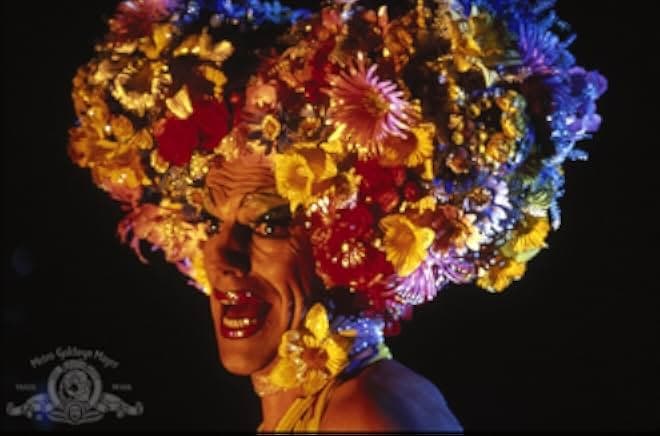 The Adventures of Priscilla, Queen of the Desert 1994