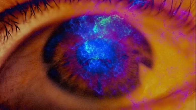 Contemplations: On the Psychedelic Experience 2022