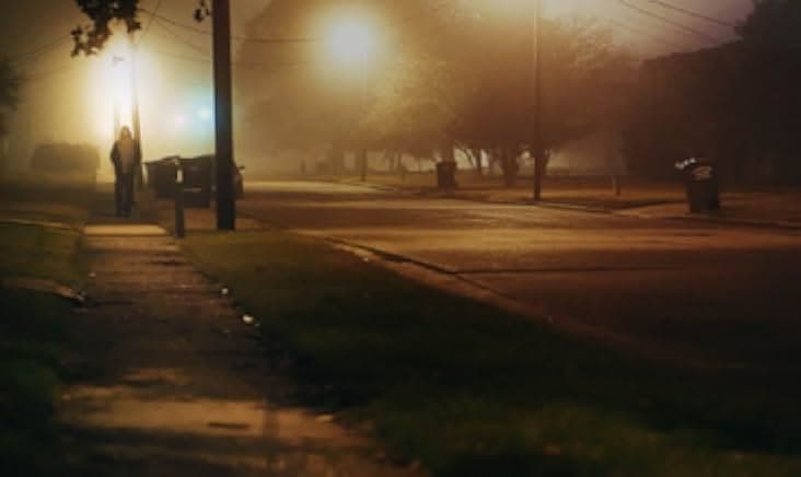 The Shelter 2015