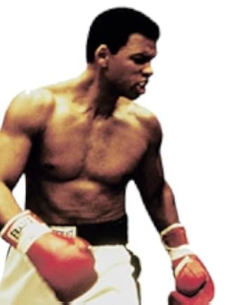 Ali 2001