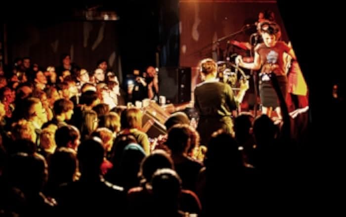 The Punk Singer 2014