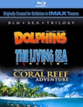Coral Reef Adventure 2003