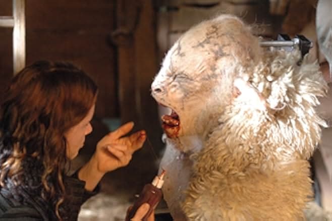 Black Sheep 2006