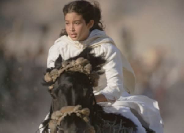 The Young Black Stallion 2003