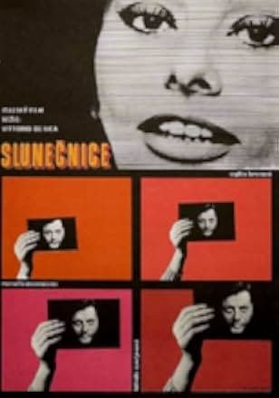 Sunflower 1970