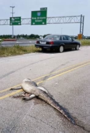 Bad Lieutenant: Port of Call New Orleans 2009