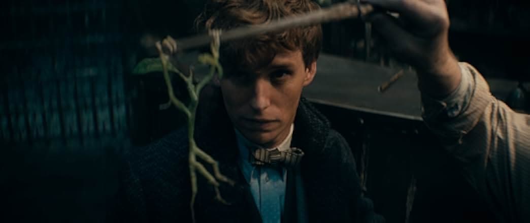Fantastic Beasts: The Secrets of Dumbledore 2022