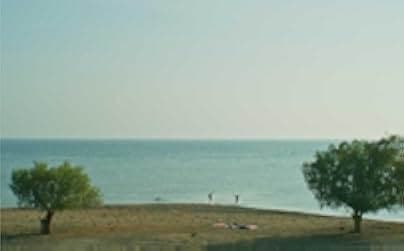 Window to the Sea 2020