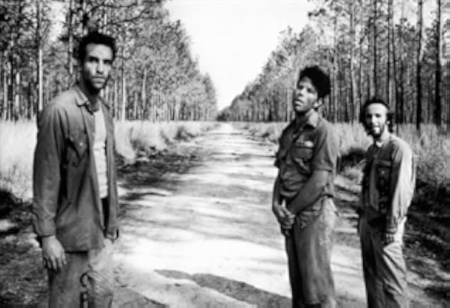 Down by Law 1986