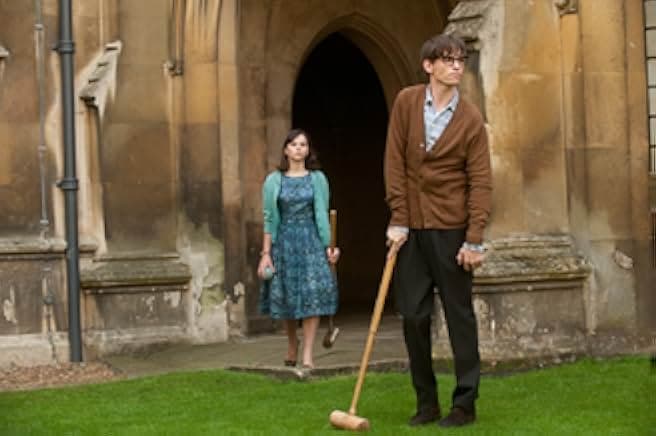The Theory of Everything 2014